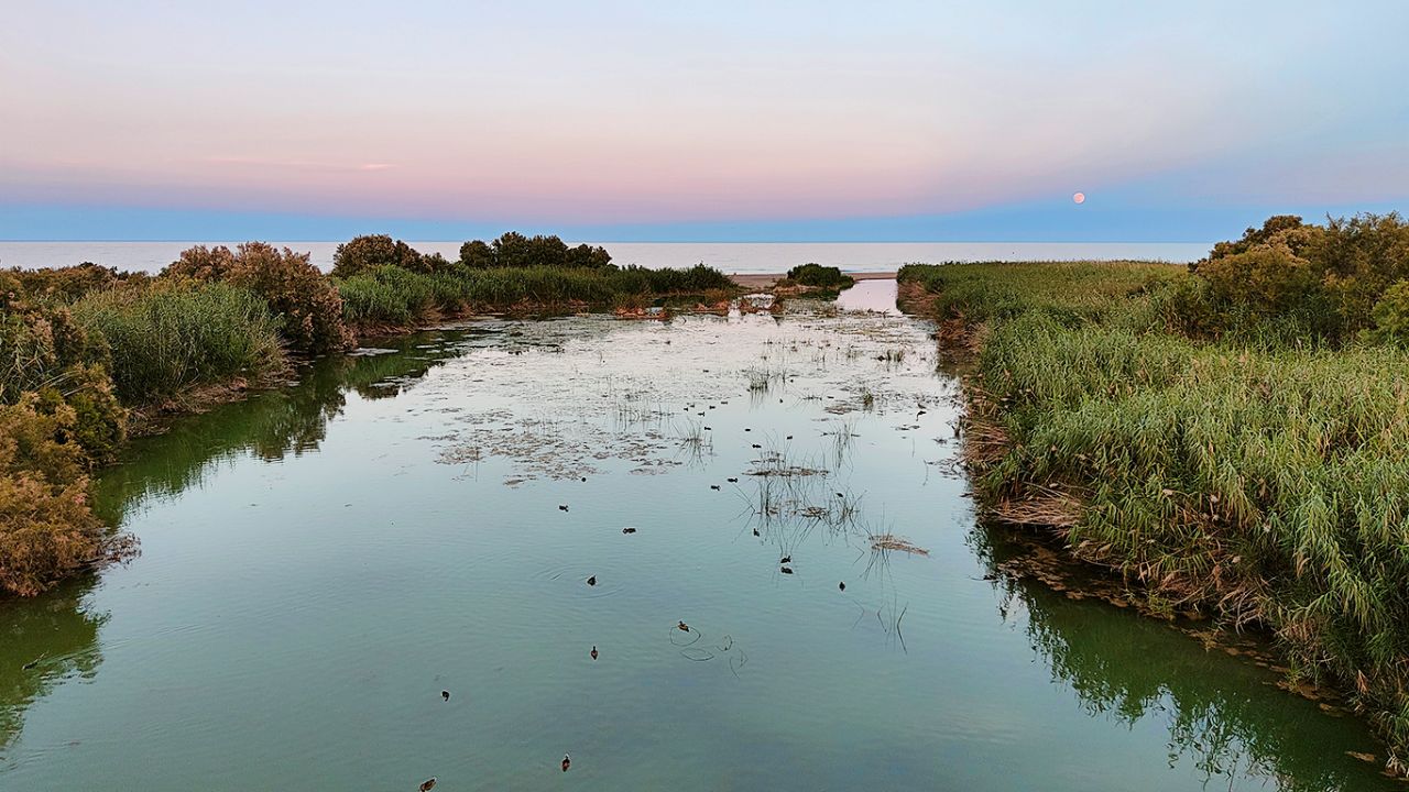 Desembocadura del Aguas