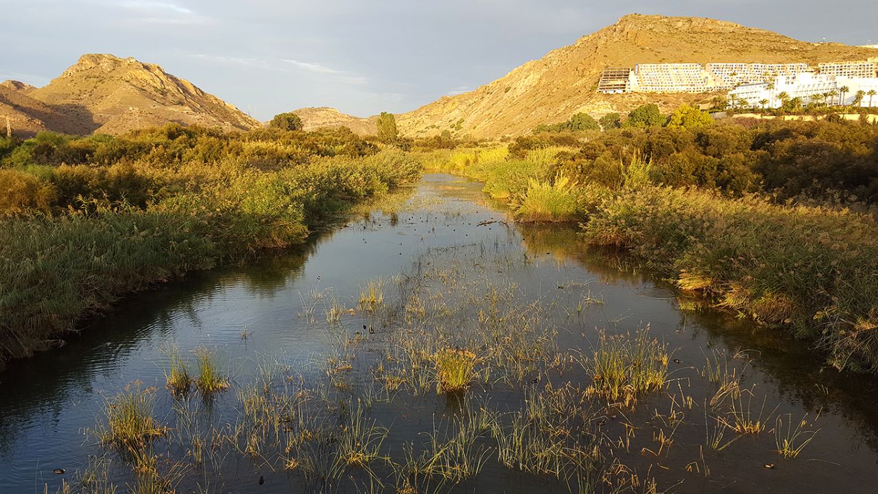 Desembocadura del Aguas