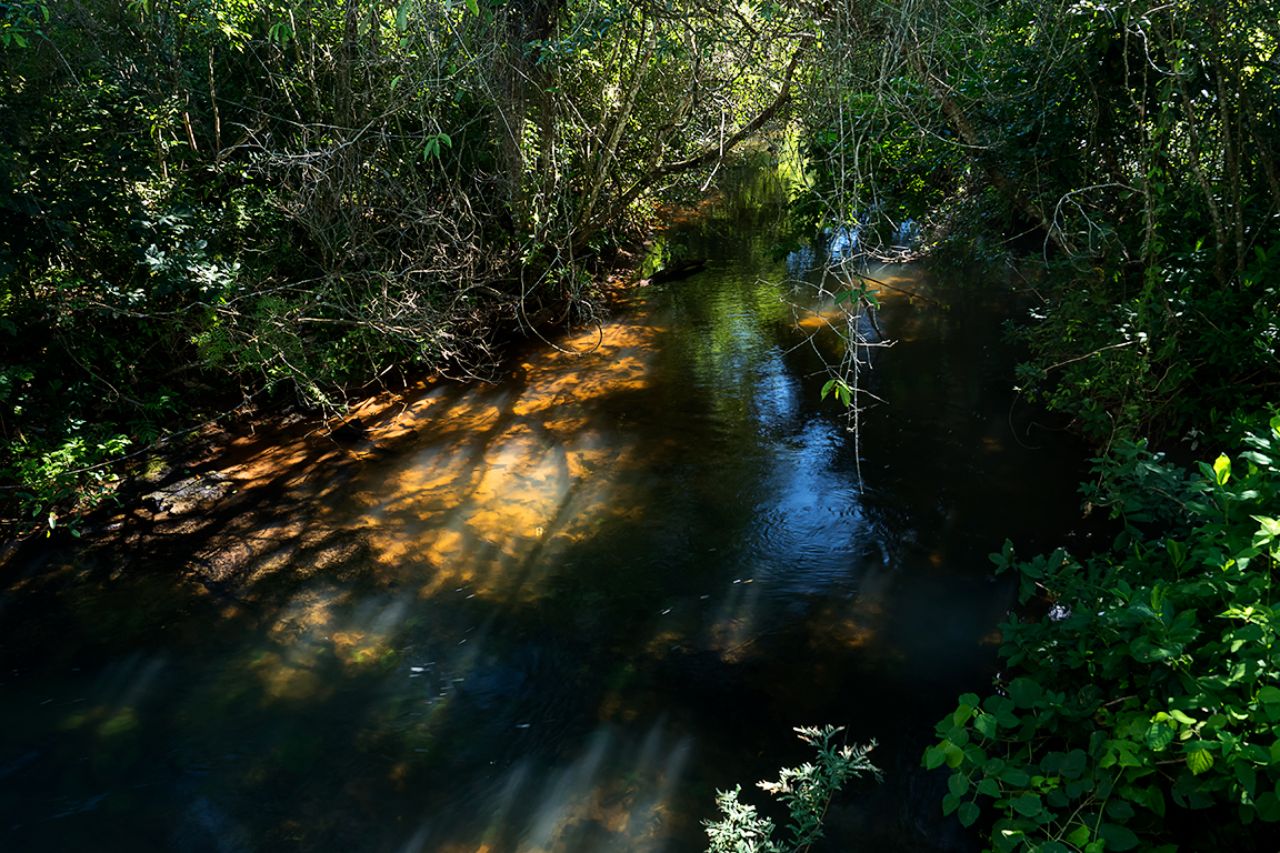 No todo son los saltos