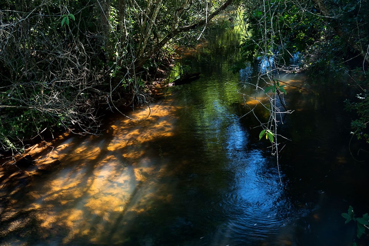 No todo son los saltos