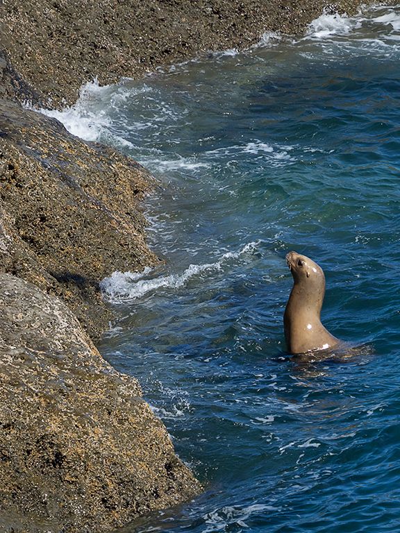 Buscando cómo subir