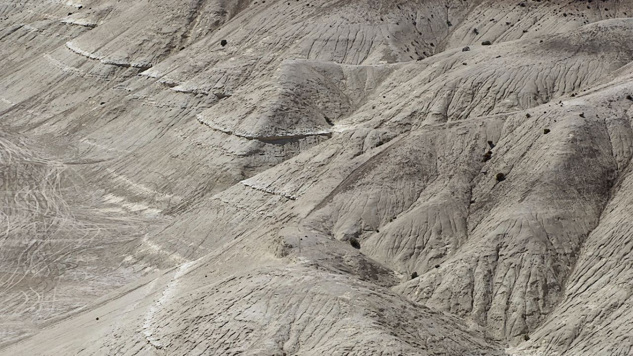 Las Bardenas Reales?