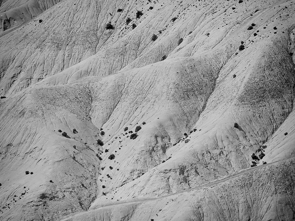 Las Bardenas Reales?