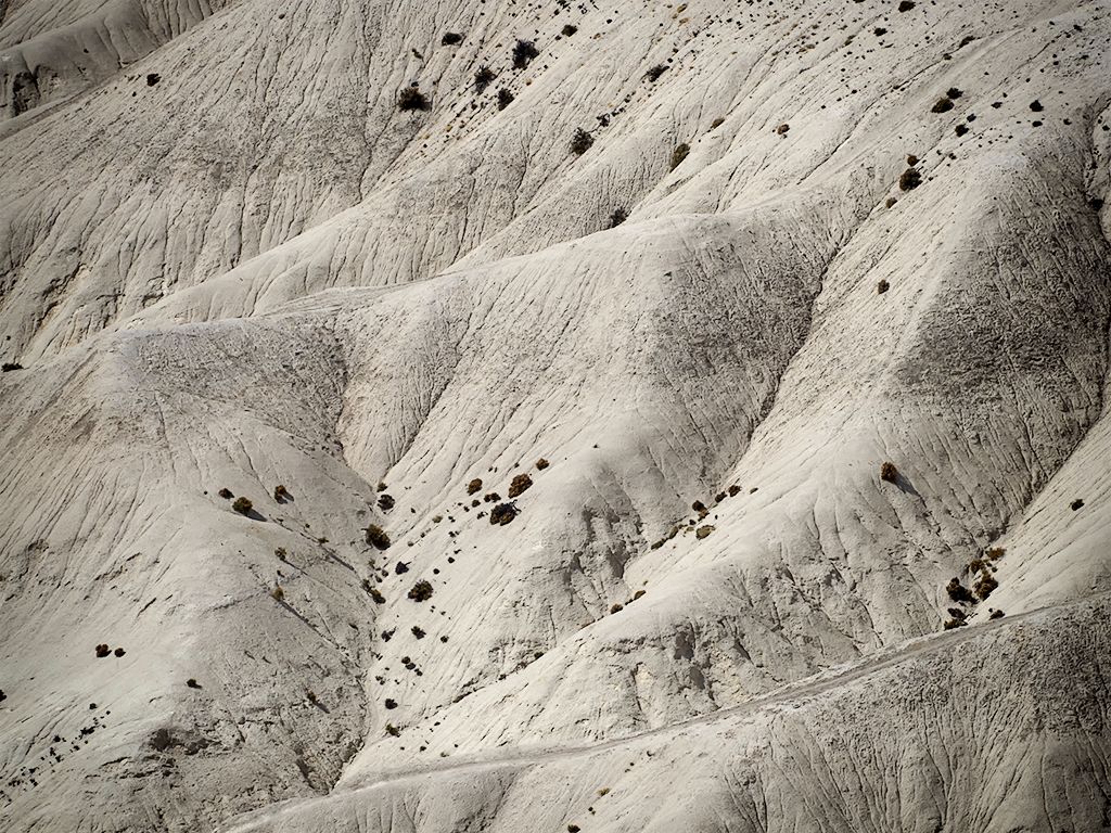 Las Bardenas Reales?