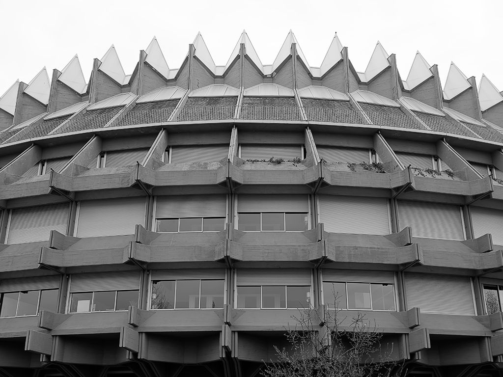 Brutalismo. La corona de espinas.