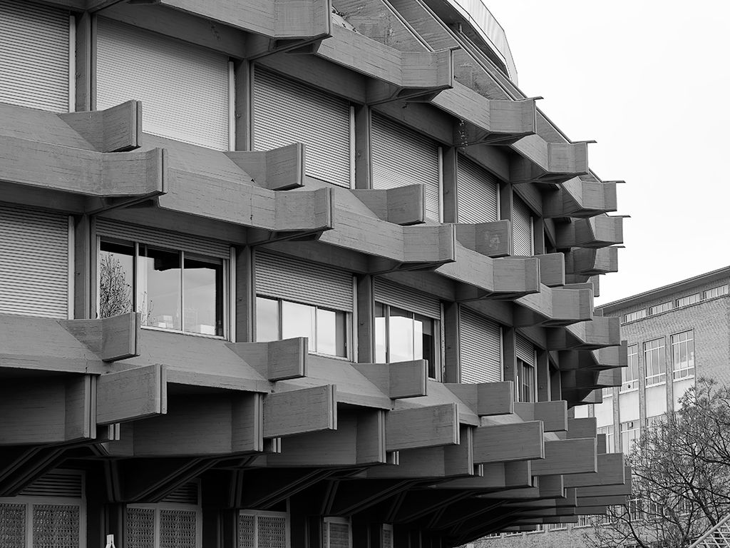 Brutalismo. La corona de espinas.