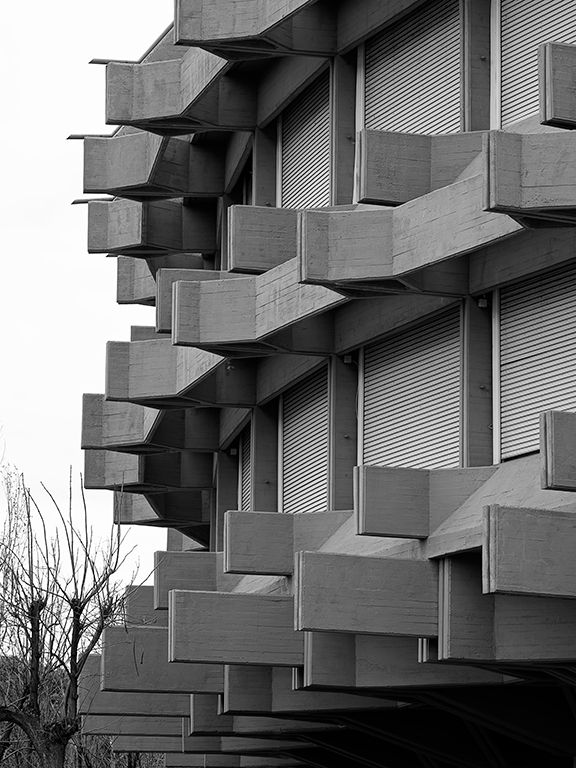 Brutalismo. La corona de espinas.