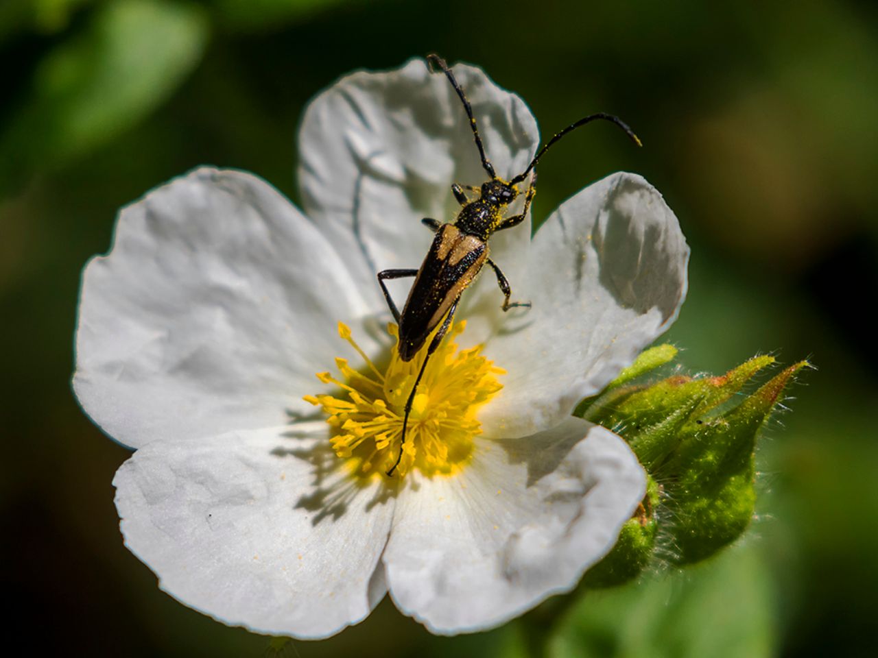 Y otros que no me atrevo a identificar