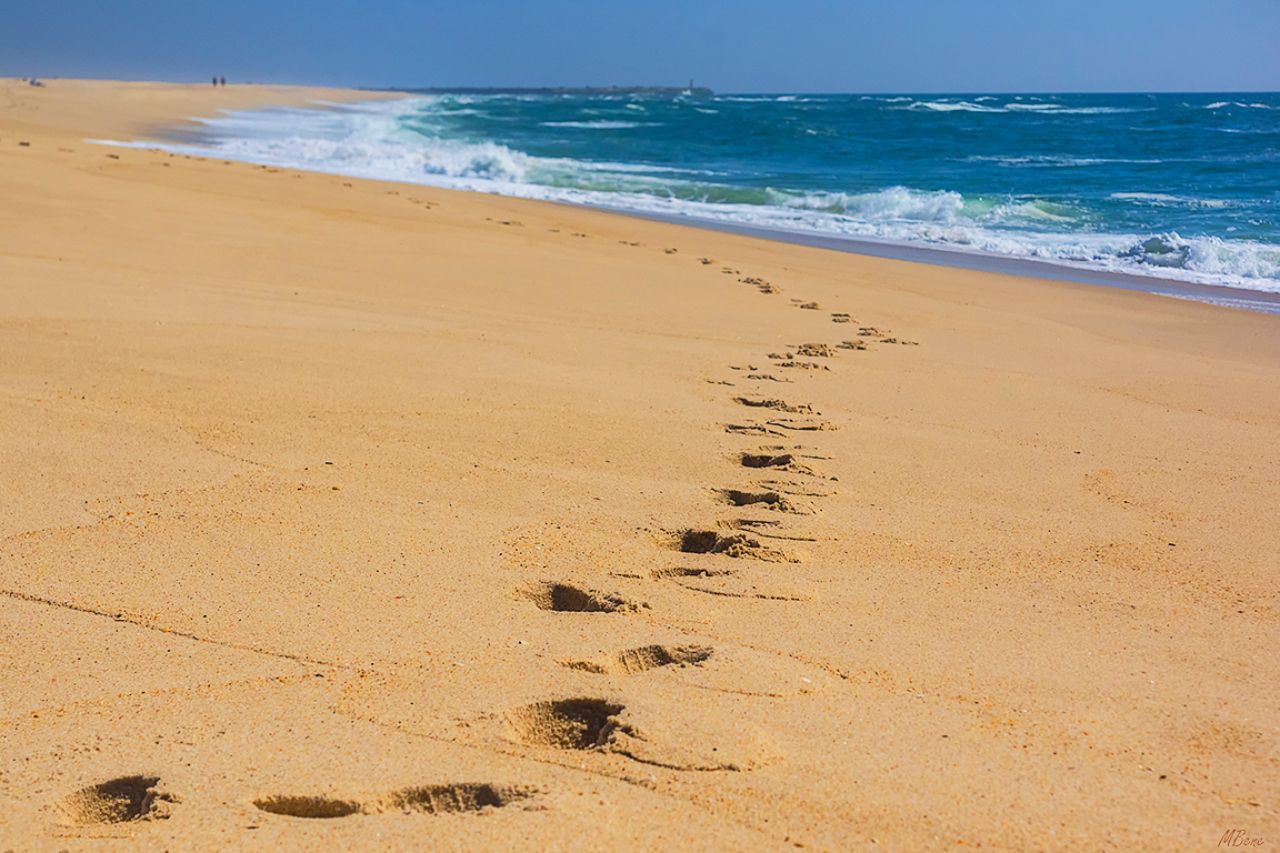 Huellas en la arena