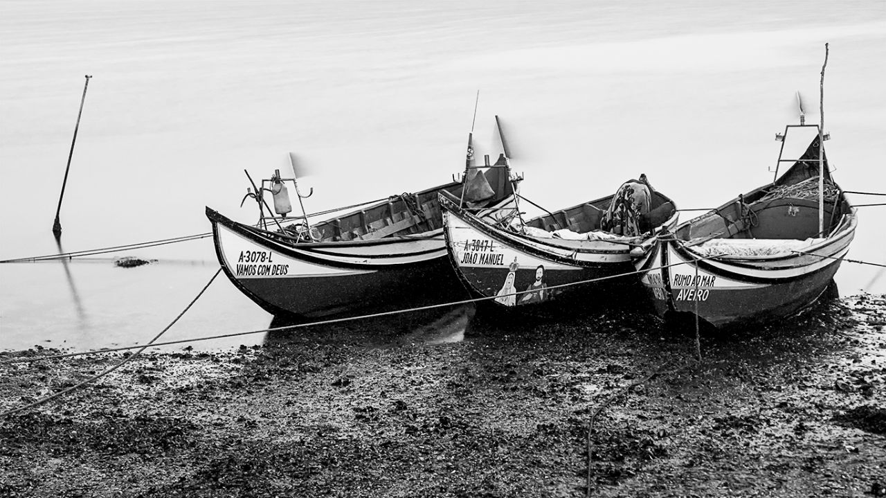 Marea baja en la ría