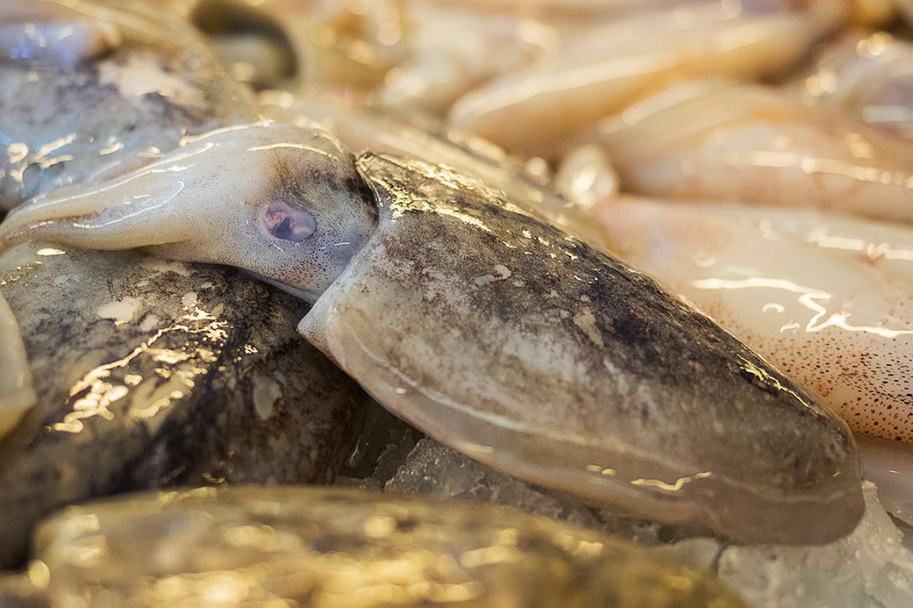 El mercado de pescado