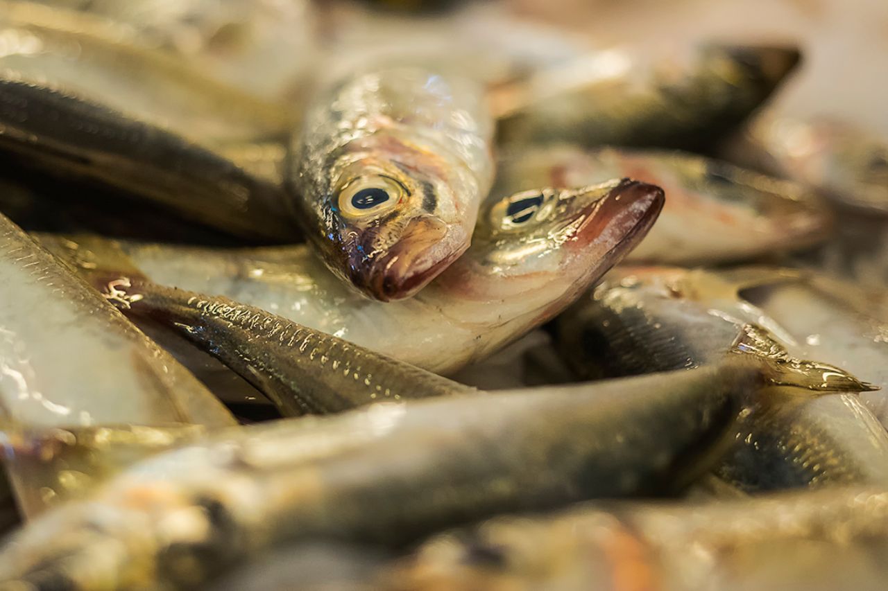 El mercado de pescado