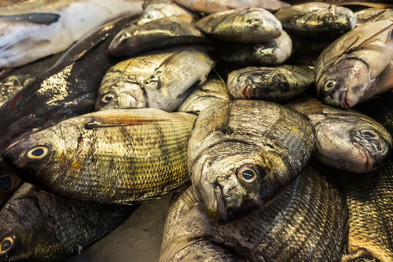 El mercado de pescado