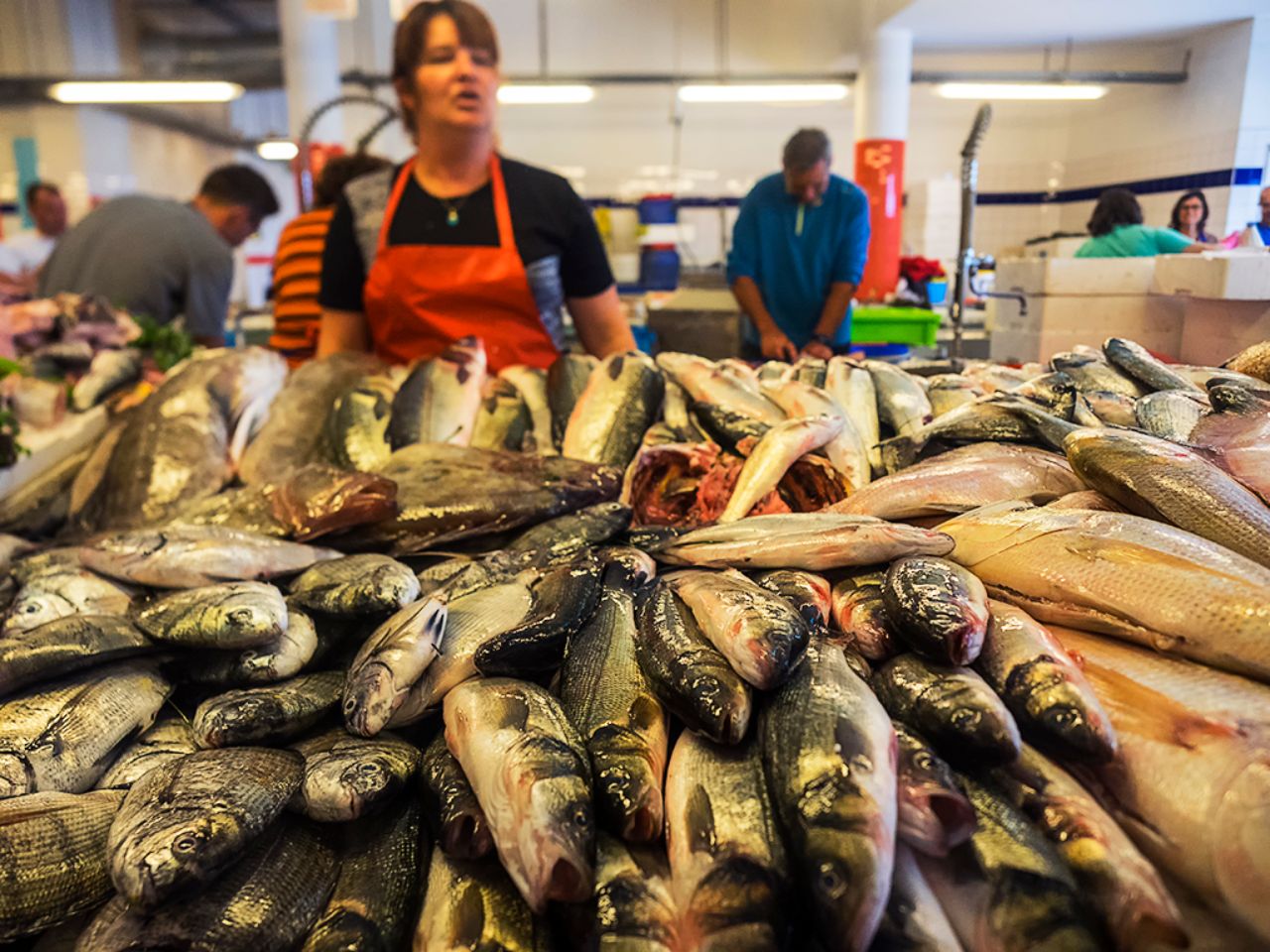 El mercado de pescado