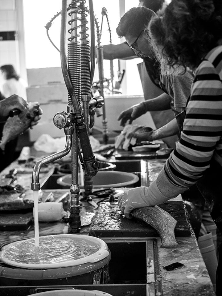 El mercado de pescado