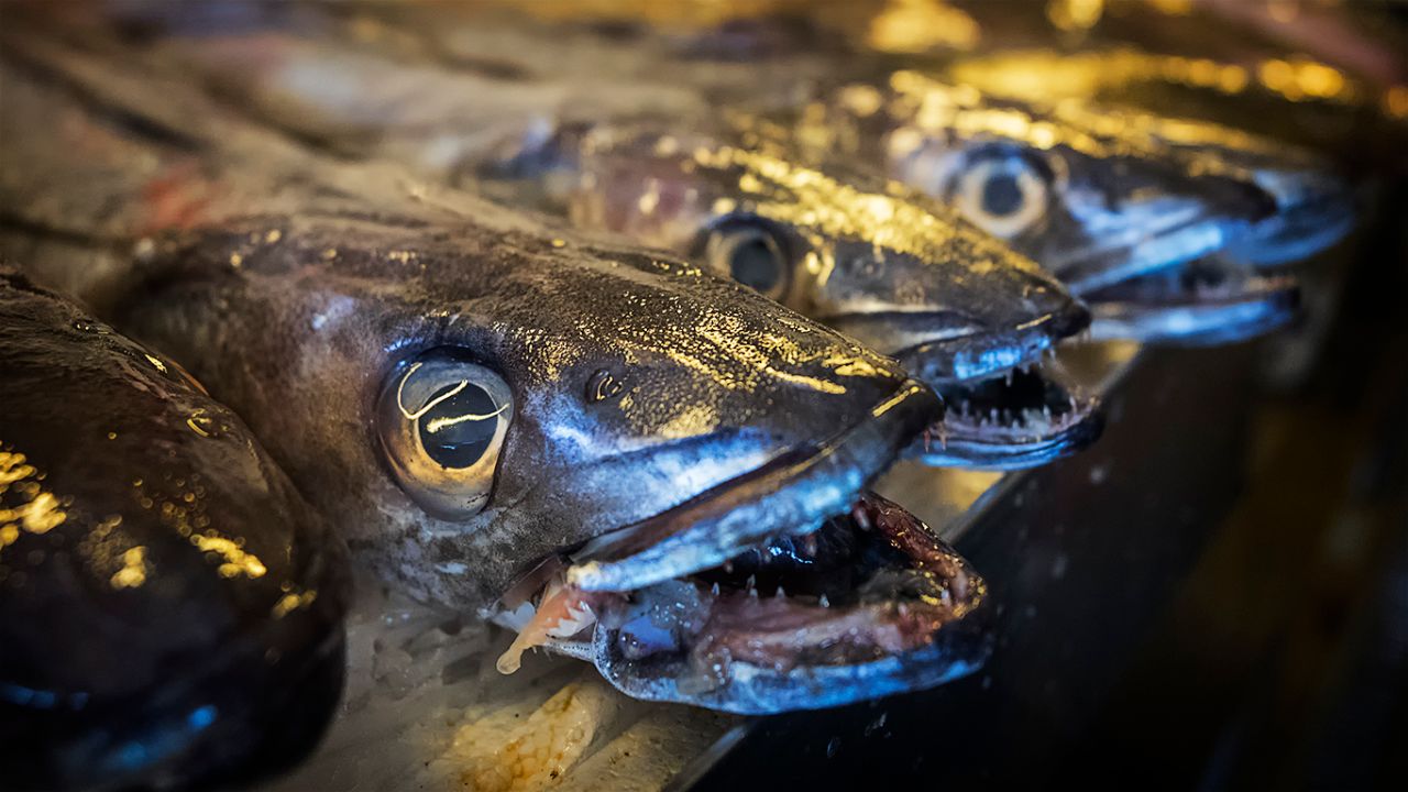 El mercado de pescado