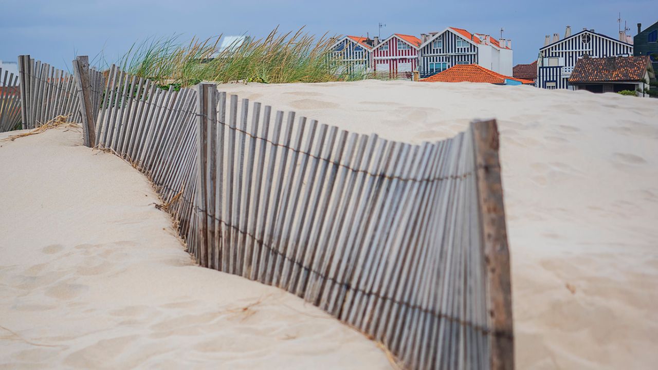 Con las casas al fondo