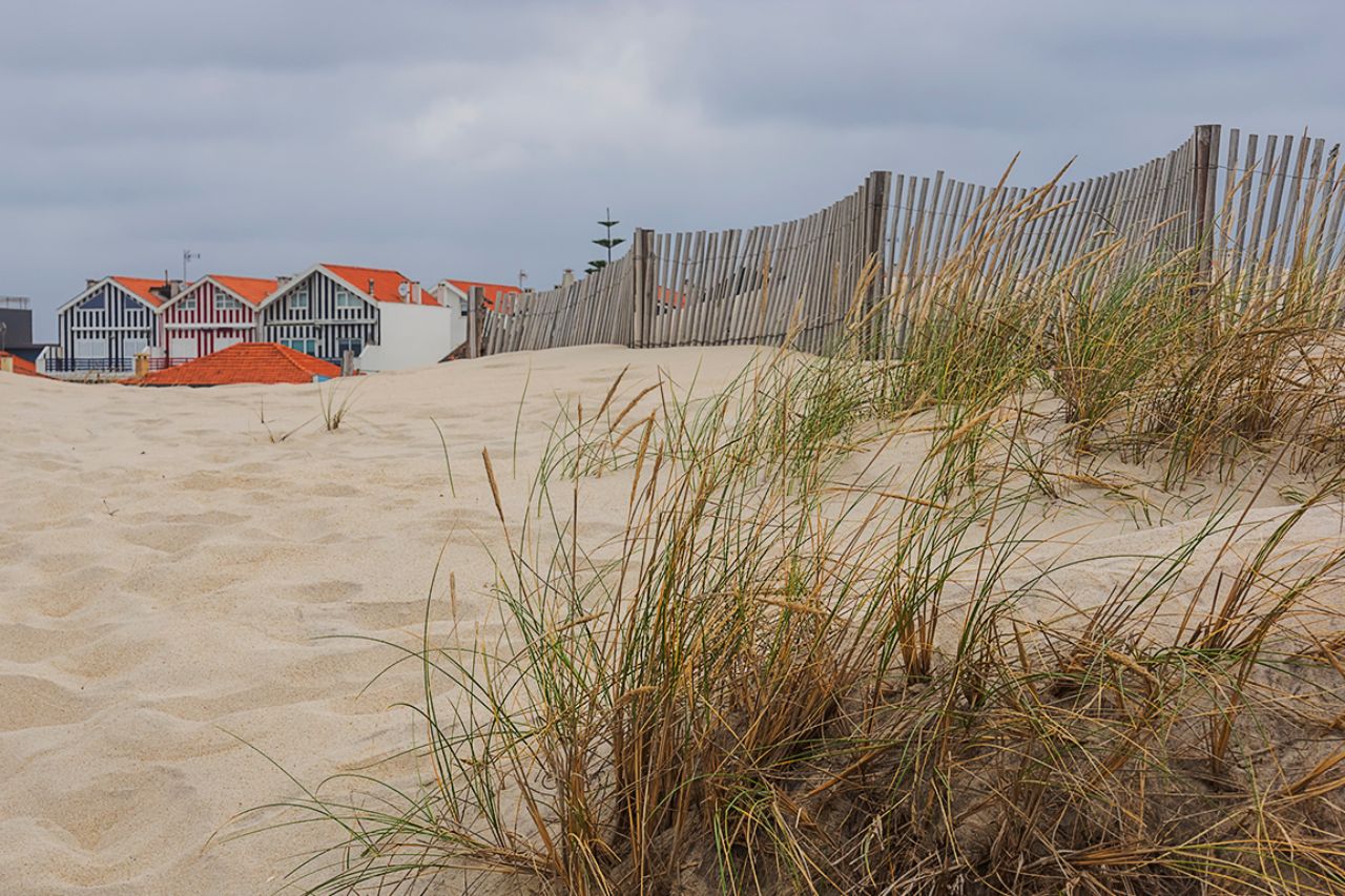 Con las casas al fondo