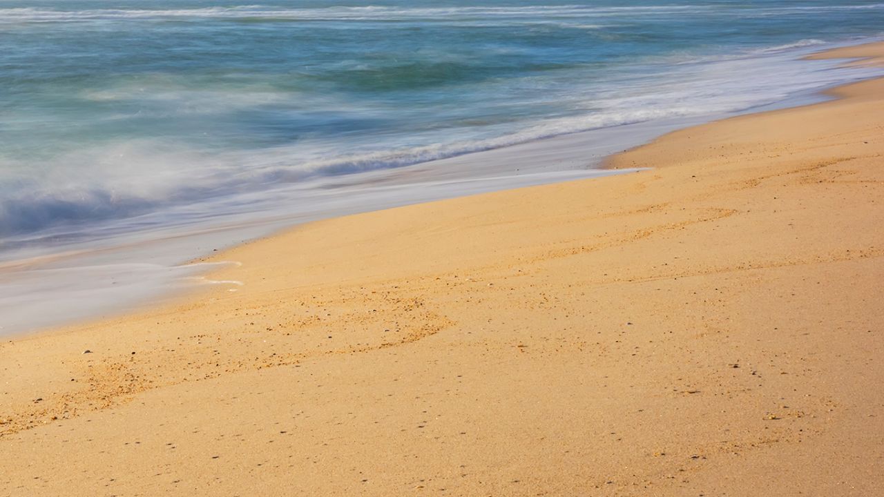 Jugando con el movimiento