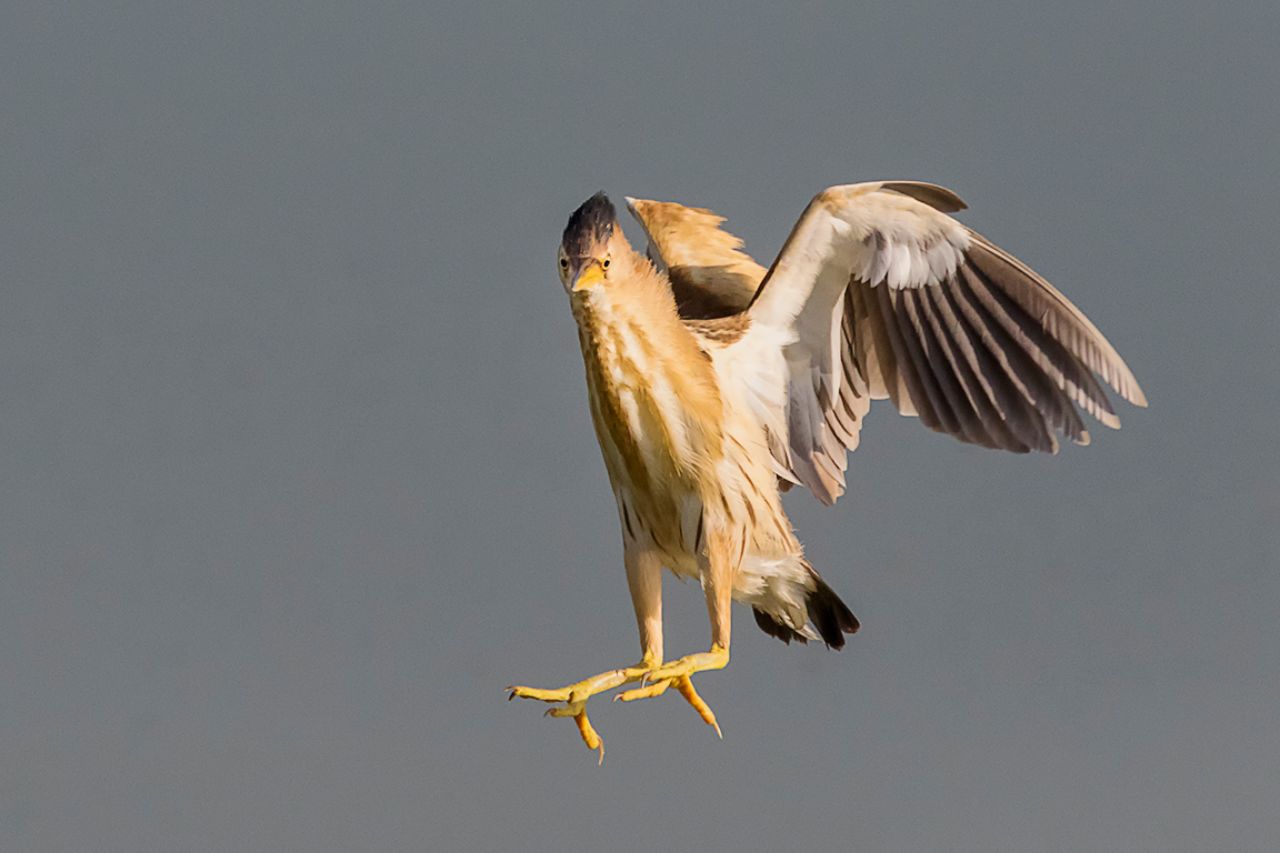 Y cuando sale, hay que estar preparado