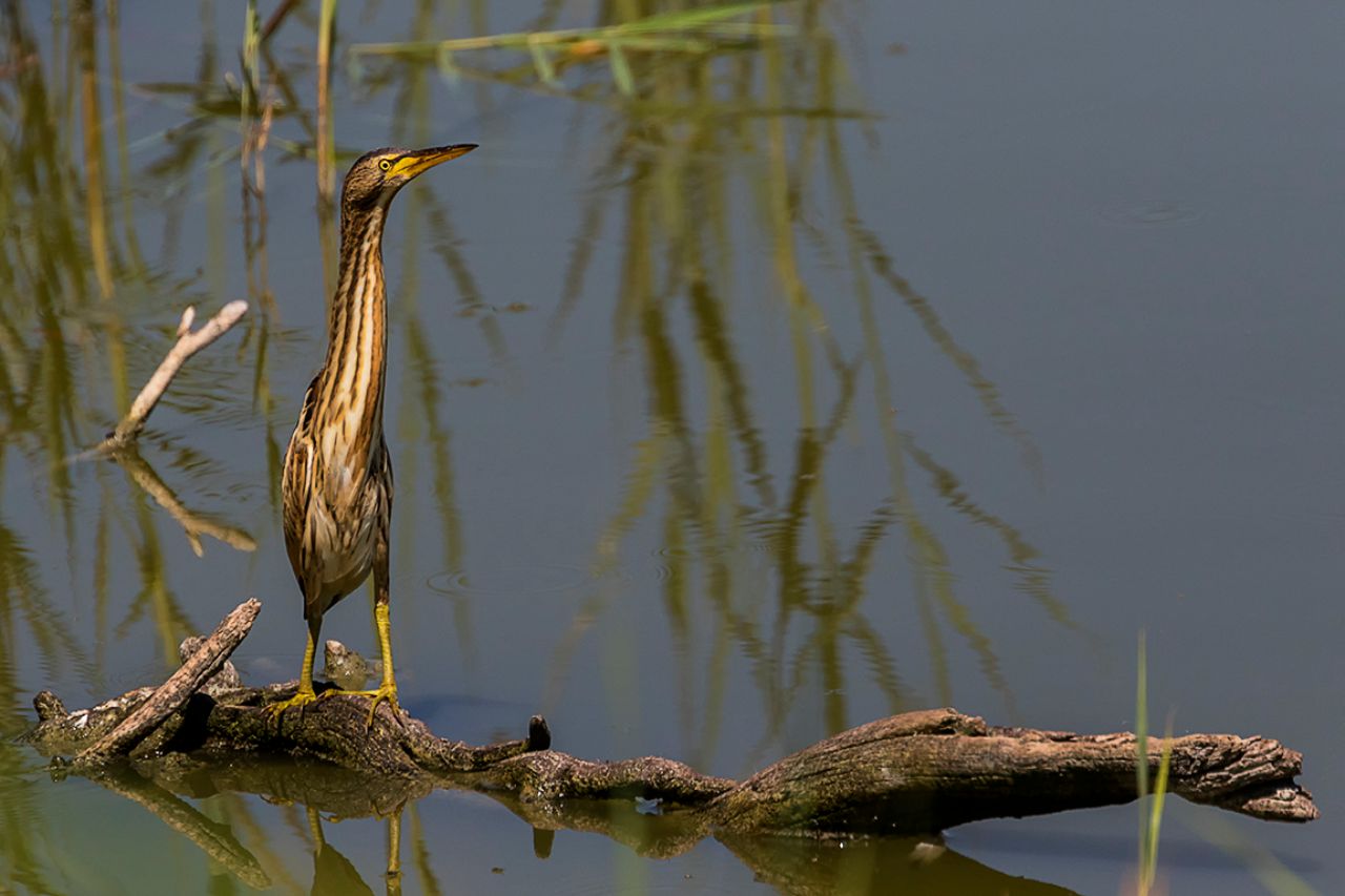 Todo un regalo ese posado