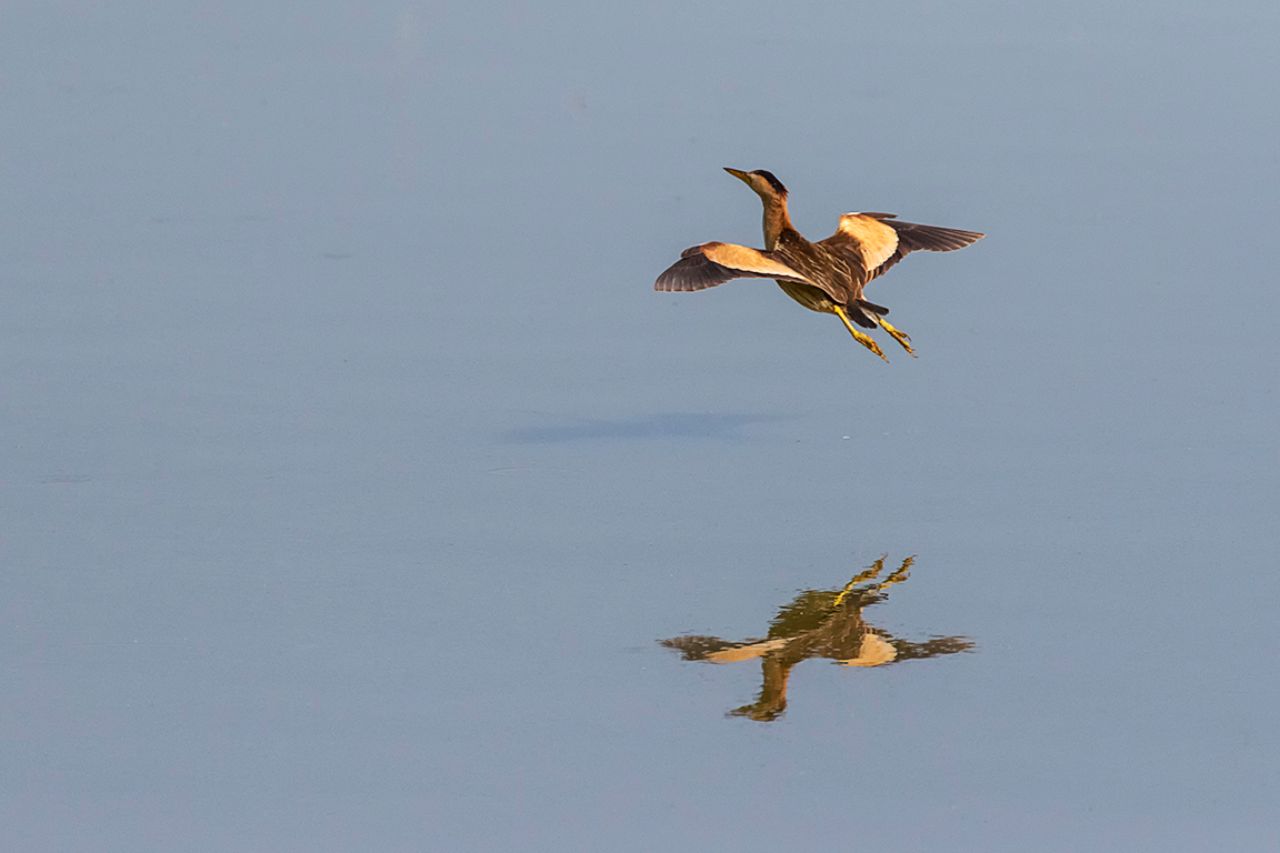 Una composición especial