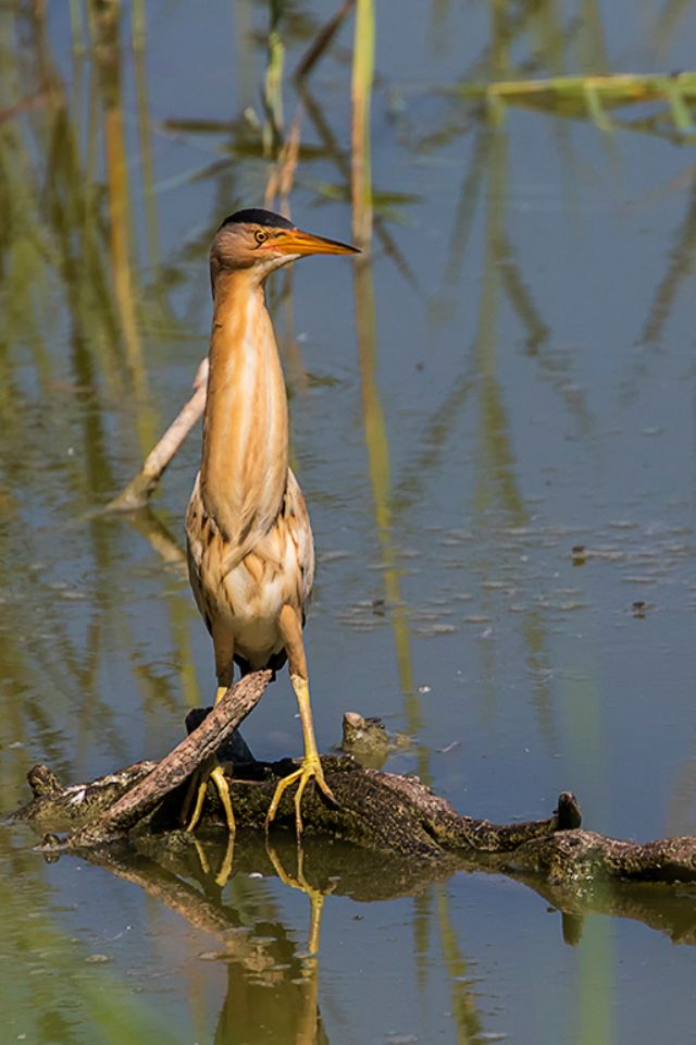 Que hay que aprovechar