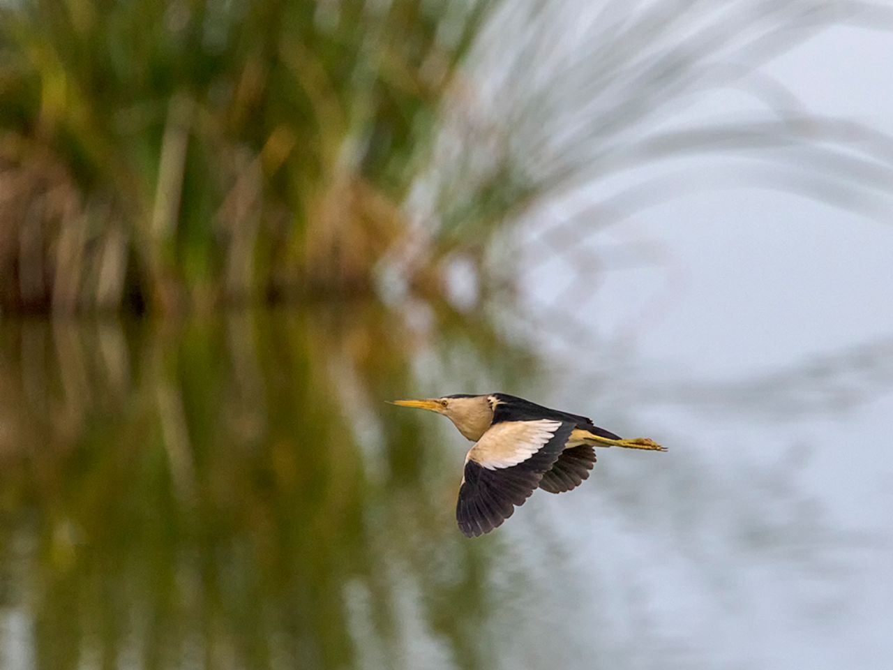 Siempre directos y breves