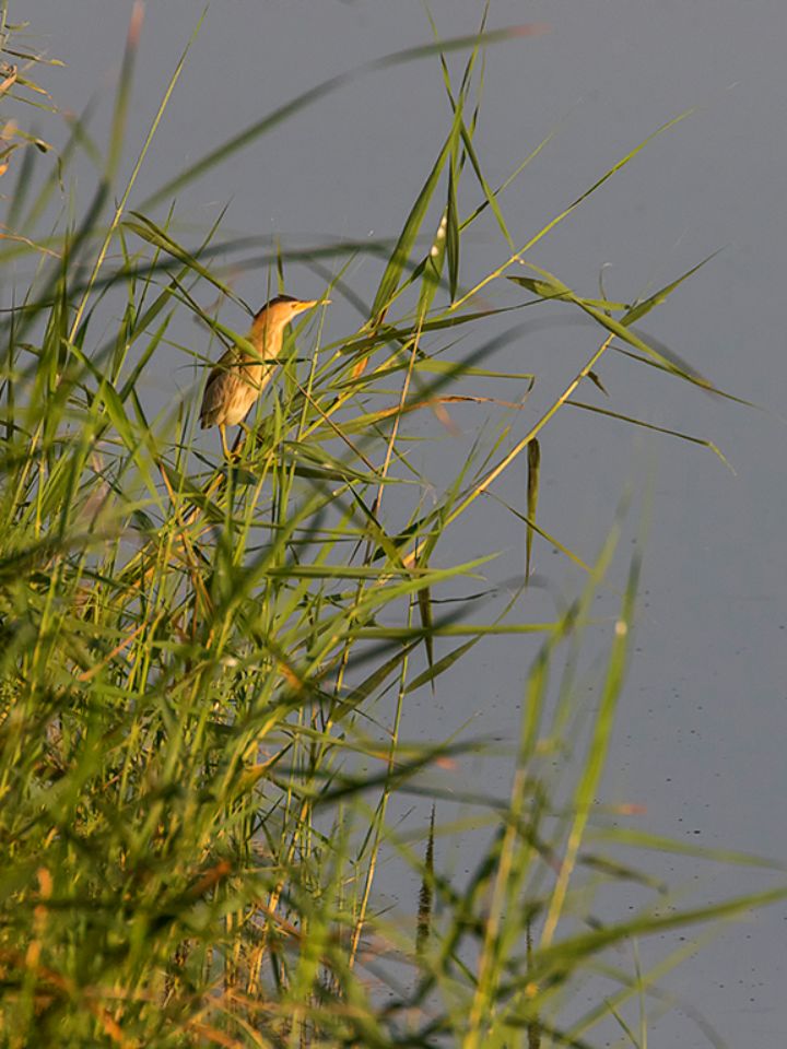 Si lo descubres a tiempo