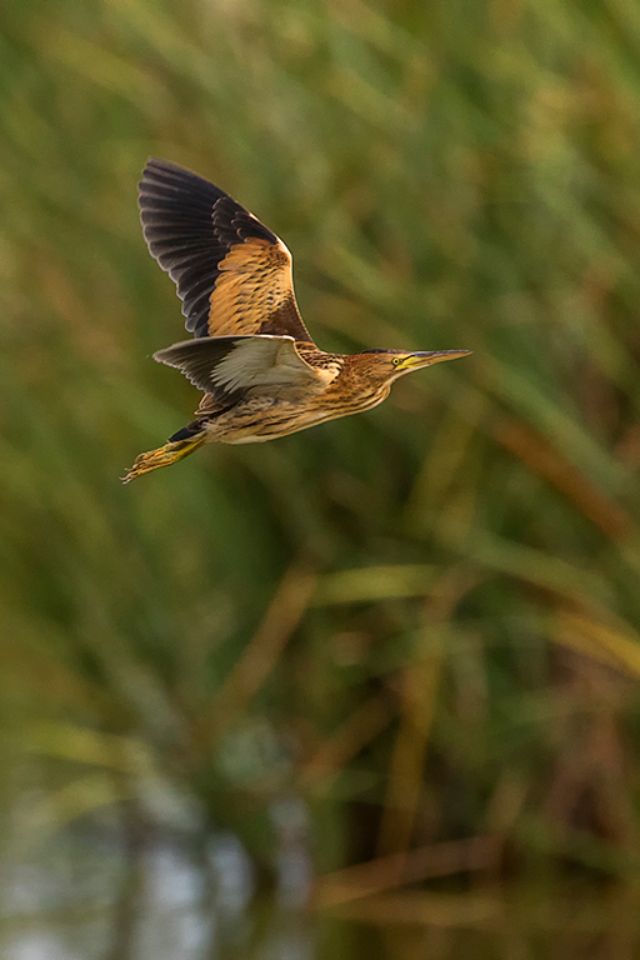 Me dieron bastantes oportunidades