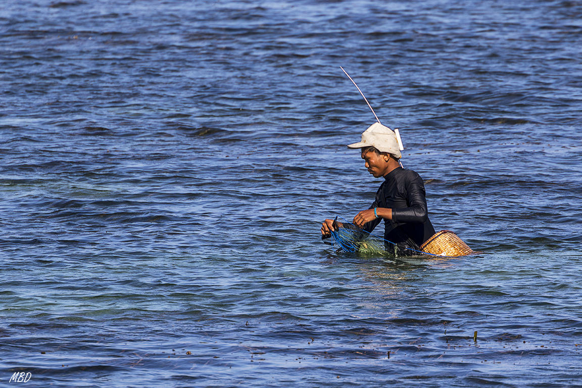 El pescador extiende la red