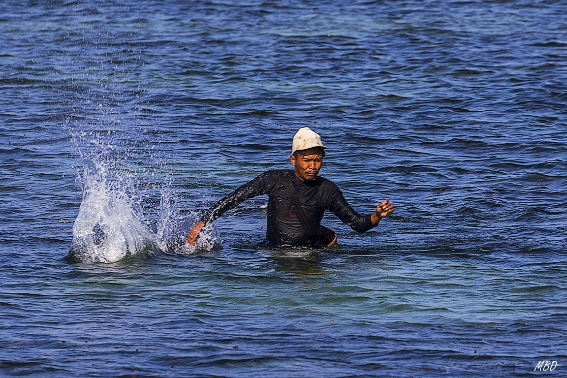 Y golpea el agua para asustar a los peces
