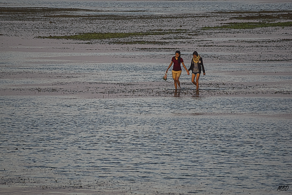 Se aprovecha para mariscar