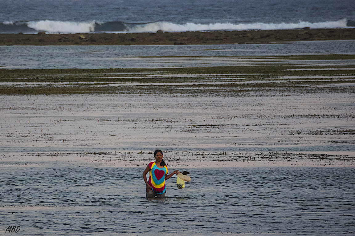 Se aprovecha para mariscar