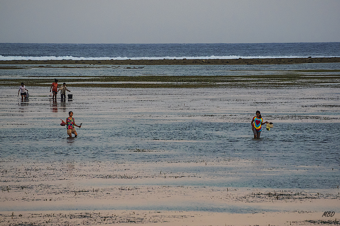 Se aprovecha para mariscar
