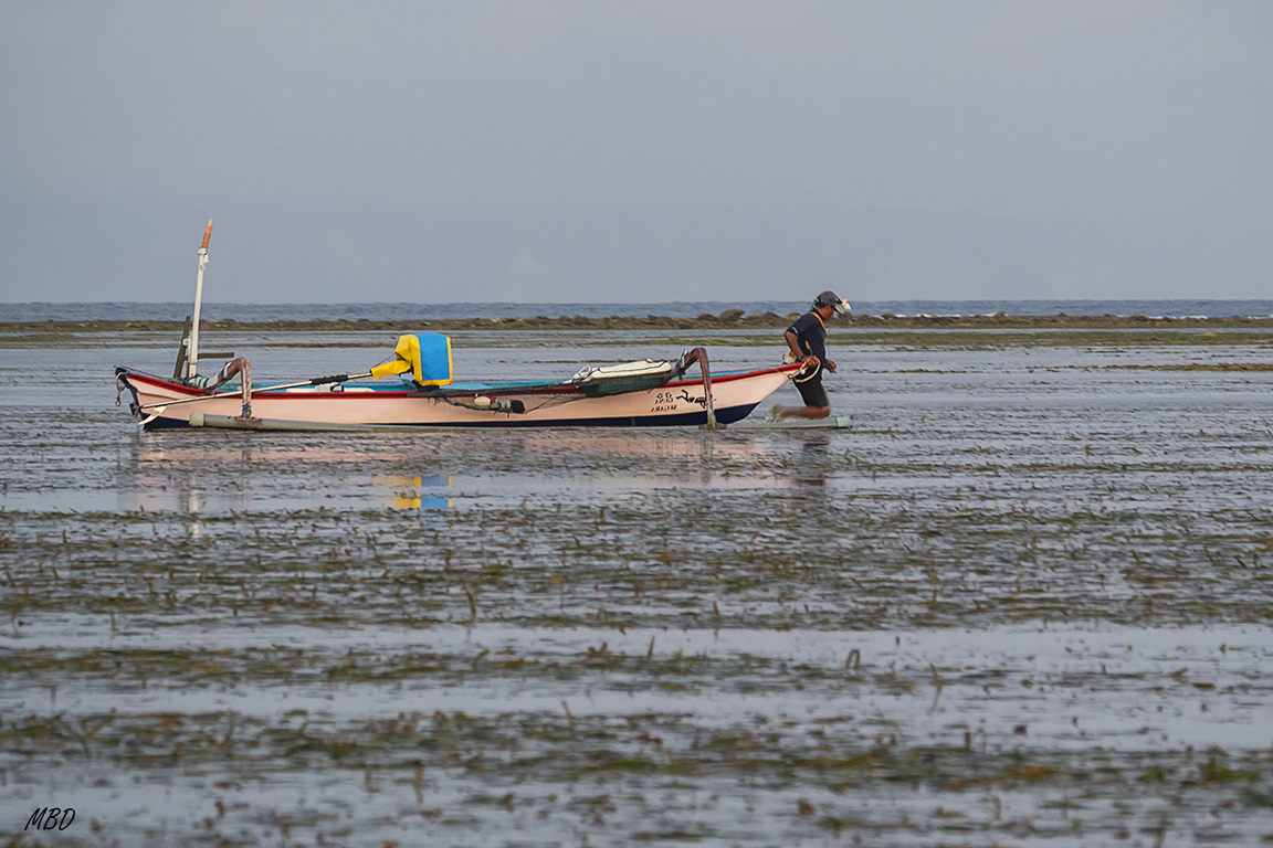Los pescadores faenan