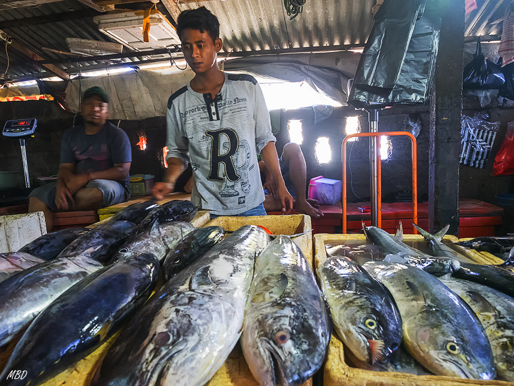 Jimbaran. Mercado de pescado.