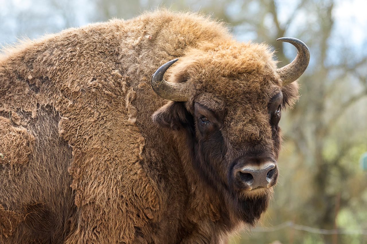 Están pendientes de mi