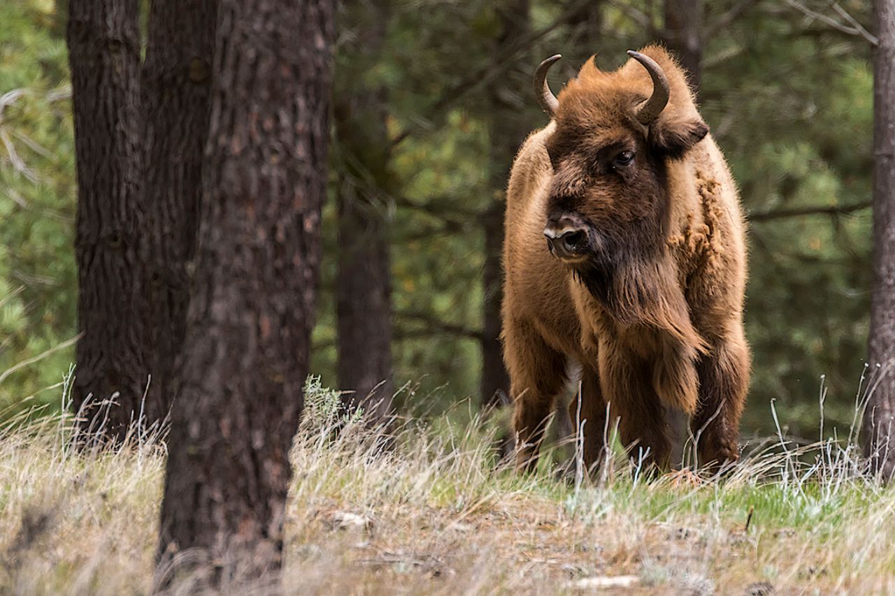 Fantástico el entorno
