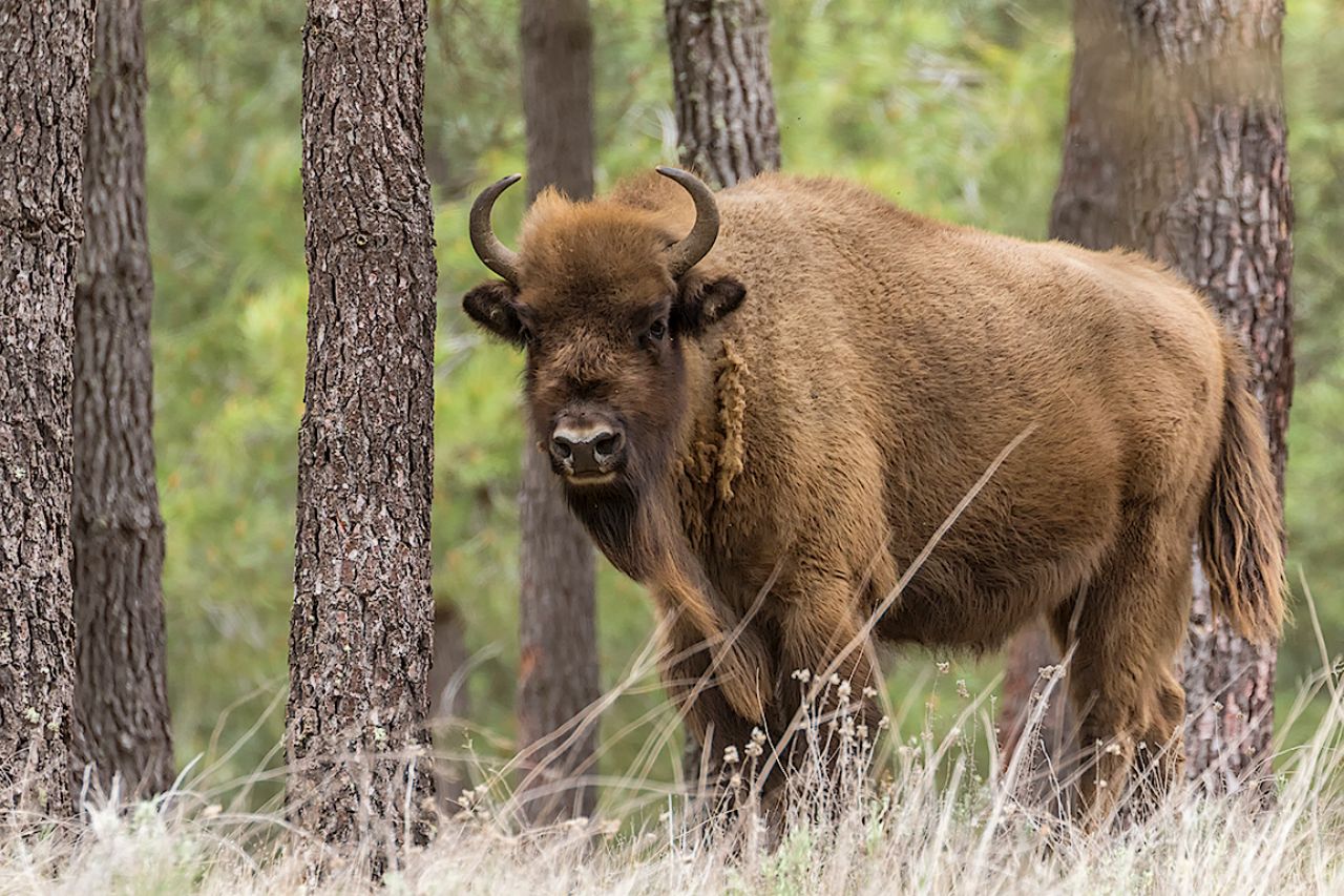 Fantástico el entorno
