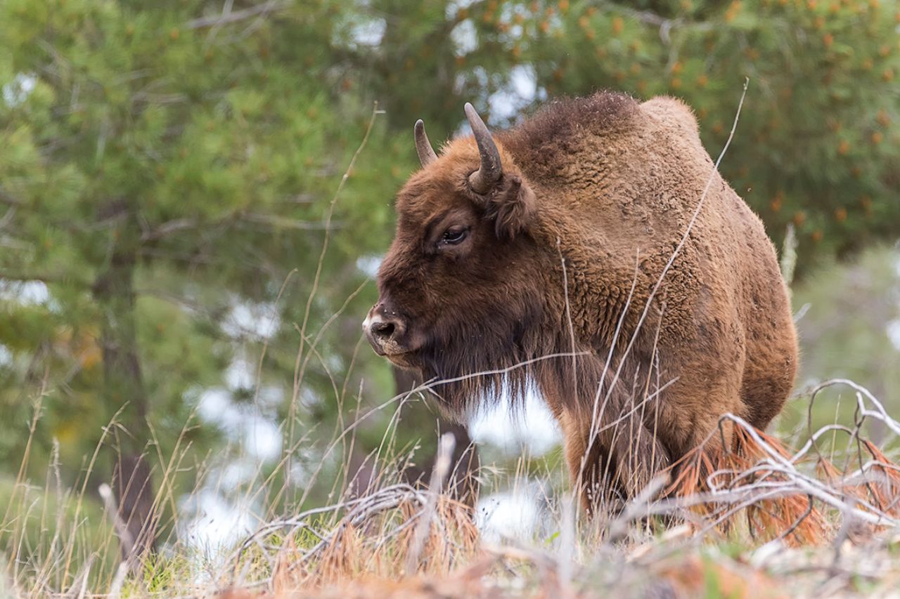 La pendiente del terreno ayuda