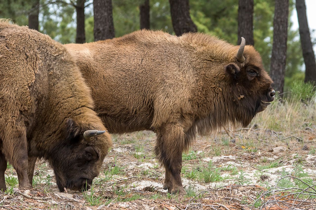Imágenes de grupo también