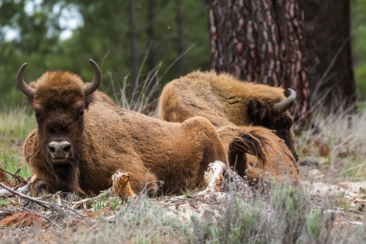 Momentos de relajación