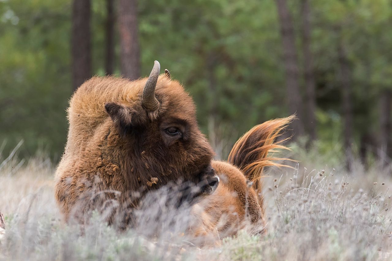 Aprovecho para acercarme