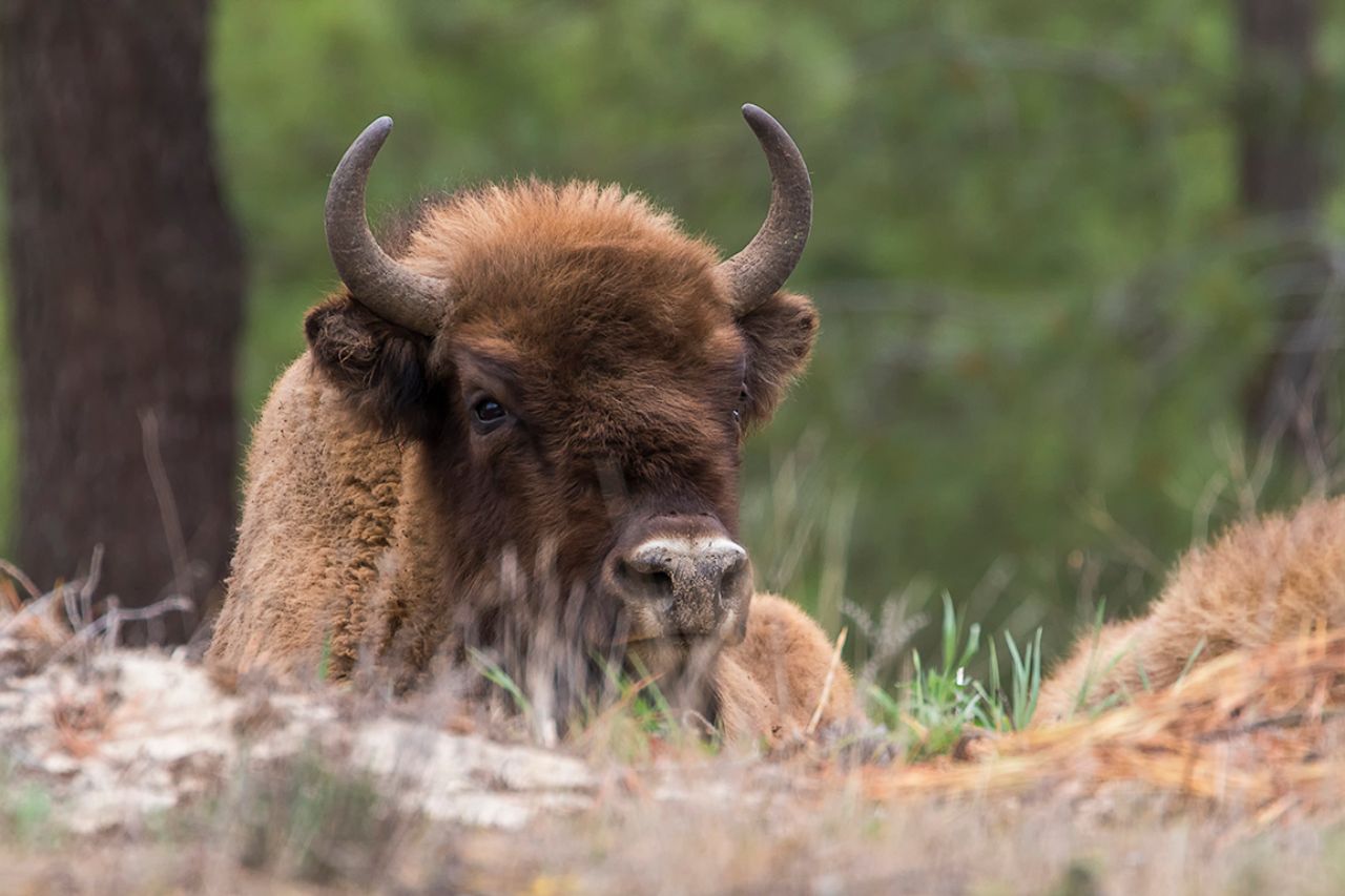 Y buscando cercanía