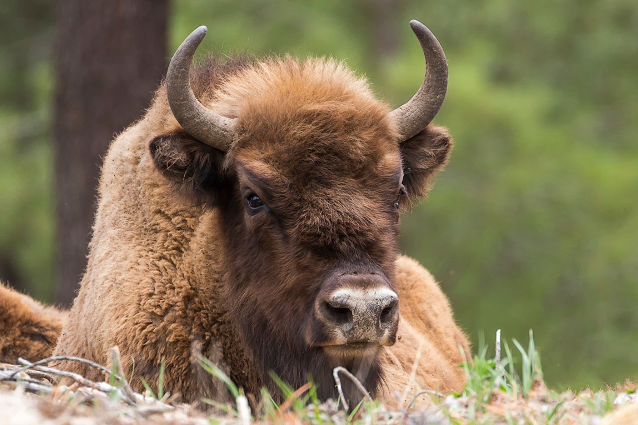 Un lujo disponer de tiempo