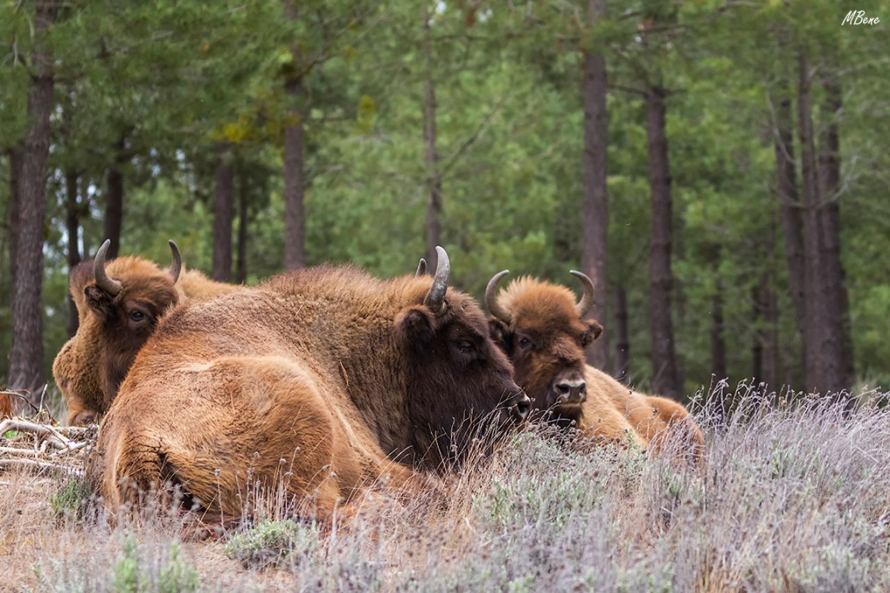 Casi una hora de sesión