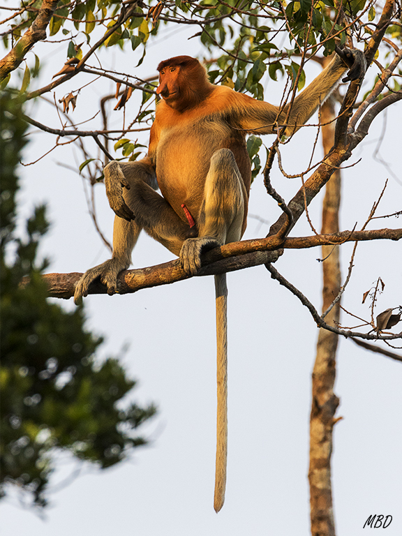 Las luces del atardecer invitan a la fotografía