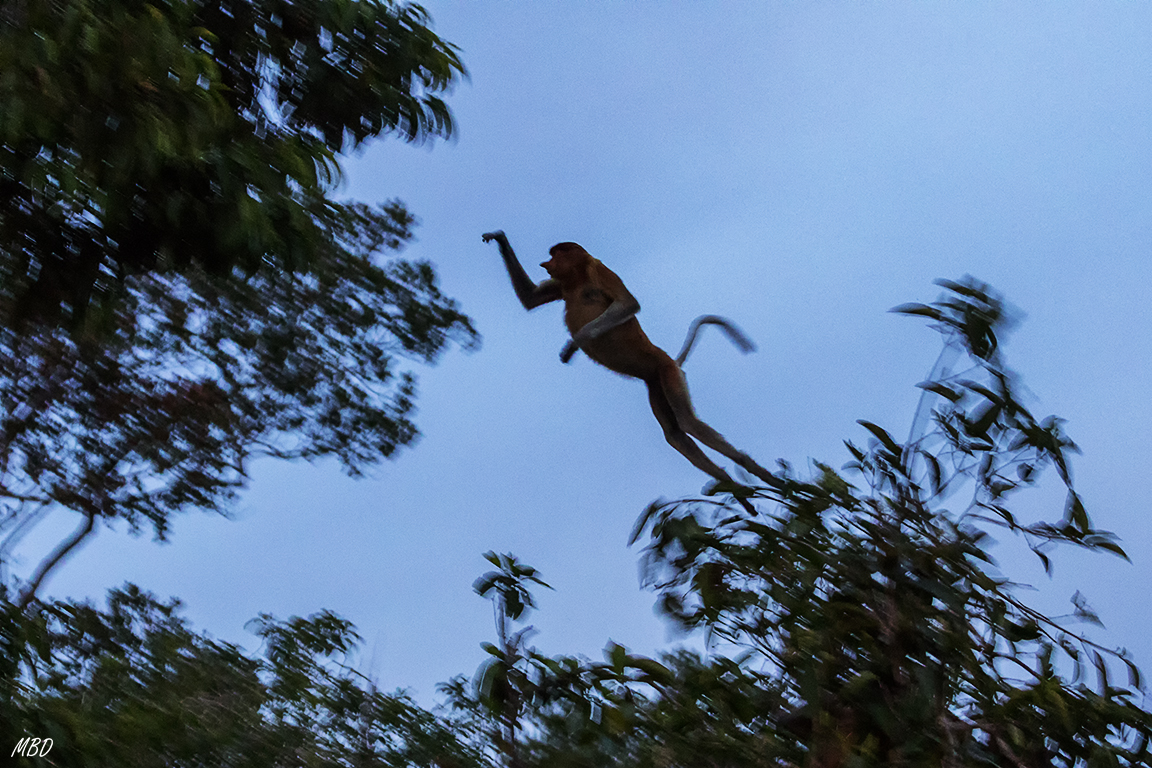 Imposible congelarlo, ISO 5000 y v 1/80!!!!