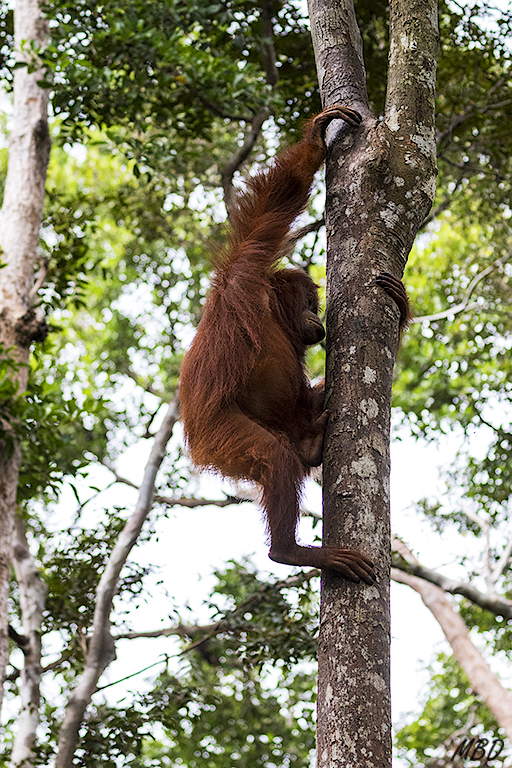 Me sorprenden sus largos dedos en manos y pies